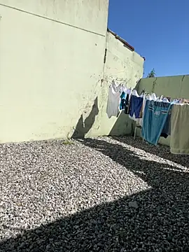 cat9269 online show from November 2025 05:57:02 PM