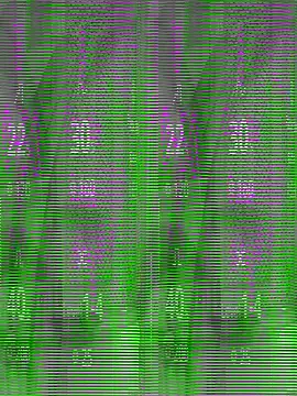 riyaroy134  online show from September 2025 05:31:01 AM