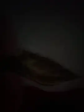 Flash356 online show from February 2026 09:13:01 PM