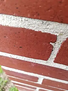 mecchauddu14 online show from March 2026 03:01:02 PM