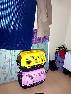 kittymutant99 online show from December 2025 08:39:02 PM