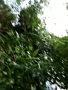 Snapshot of -Xuka-200 chatting on October 2025 09:54:01 AM -Xuka-200 online show from October 2025 09:54:01 AM