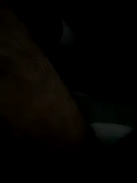 jayandjane69 online show from September 2025 03:44:01 PM