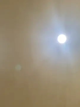 aalvaro98 online show from February 2026 05:24:01 AM