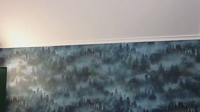 MarkShot  online show from November 2025 08:31:01 PM