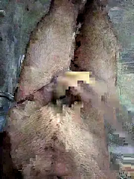 ash706339 online show from September 2025 06:52:02 PM