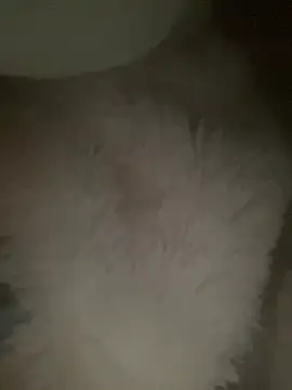 Snapshot of ruiki666 chatting on March 2026 08:07:01 AM ruiki666 online show from March 2026 08:07:01 AM