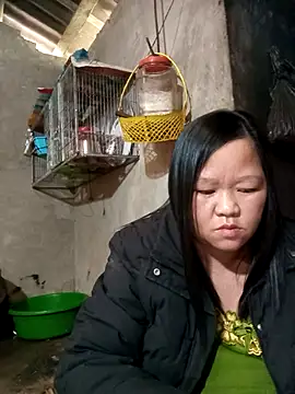 riso-00 online show from January 2026 06:49:02 AM