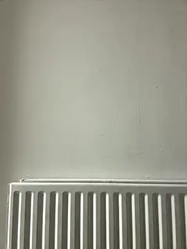 dlasian2026 online show from October 2025 11:06:02 PM