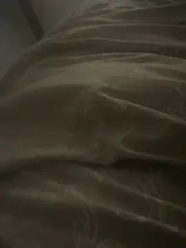 dlasian2026 online show from November 2025 04:50:01 PM