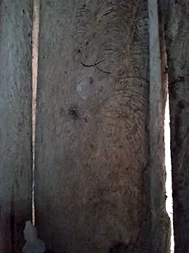 Snapshot of bonnie-00 chatting on October 2025 11:28:02 PM bonnie-00 online show from October 2025 11:28:02 PM