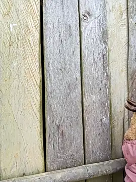 Snapshot of bonnie-00 chatting on October 2025 01:50:01 AM bonnie-00 online show from October 2025 01:50:01 AM