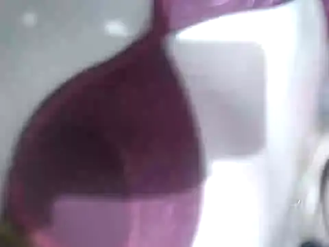 Snapshot of Cachorrinha2025 chatting on September 2025 07:54:02 AM Cachorrinha2025 online show from September 2025 07:54:02 AM