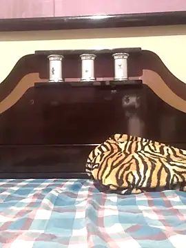 Snapshot of Cachorrinha2025 chatting on November 2025 08:30:02 PM Cachorrinha2025 online show from November 2025 08:30:02 PM