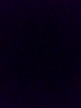 Snapshot of Cachorrinha2025 chatting on November 2025 02:05:01 PM Cachorrinha2025 online show from November 2025 02:05:01 PM