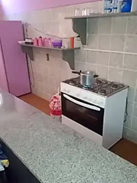 Snapshot of Cachorrinha2025 chatting on November 2025 02:50:01 PM Cachorrinha2025 online show from November 2025 02:50:01 PM