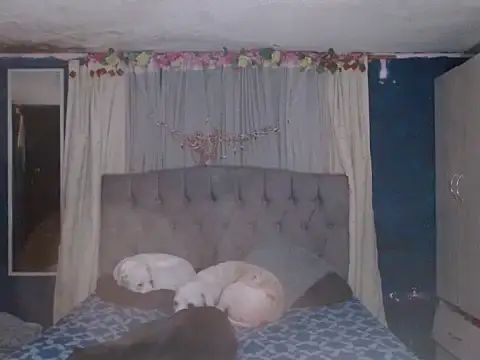 skarleth hot21 online show from October 2025 04:31:02 AM