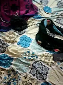 monarani5986 online show from November 2025 06:29:01 PM