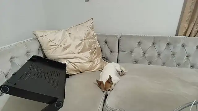 BarbieKarly online show from December 2025 01:21:02 AM