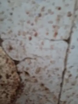 Snapshot of goodzx2 chatting on September 2025 12:50:01 PM goodzx2 online show from September 2025 12:50:01 PM