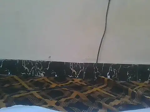 Naughty queen20 online show from April 2026 07:47:02 AM