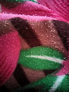 Snapshot of bold_guy_1234 chatting on October 2025 05:07:02 AM bold guy 1234 online show from October 2025 05:07:02 AM