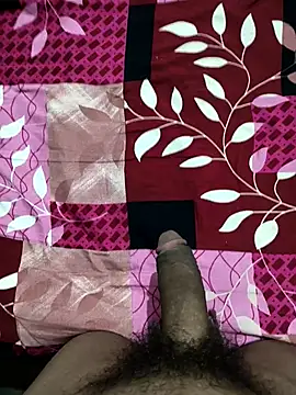 Snapshot of bold_guy_1234 chatting on October 2025 09:03:01 PM bold guy 1234 online show from October 2025 09:03:01 PM