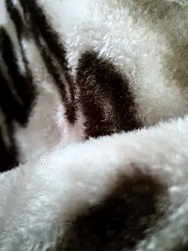 Snapshot of bold_guy_1234 chatting on December 2025 05:35:01 AM bold guy 1234 online show from December 2025 05:35:01 AM