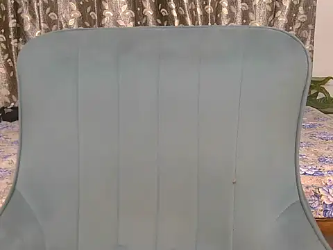 Snapshot of alaviya-19 chatting on November 2025 04:24:01 AM alaviya-19 online show from November 2025 04:24:01 AM