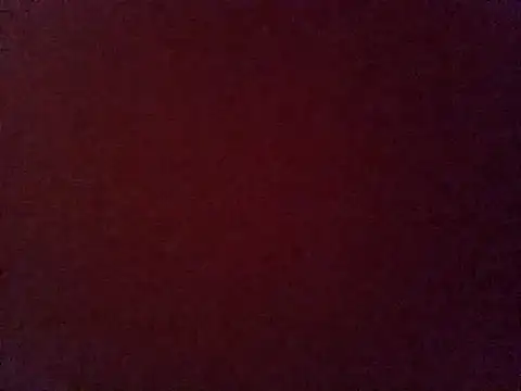 Snapshot of RuivaTrans chatting on September 2025 07:31:01 AM RuivaTrans online show from September 2025 07:31:01 AM