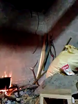 donna-bae online show from March 2026 11:19:02 PM