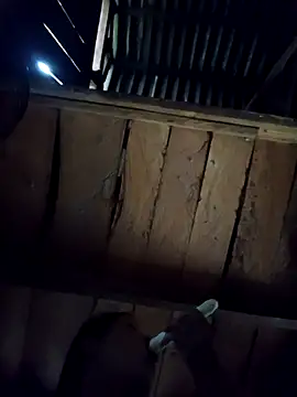 Snapshot of callistra chatting on October 2025 08:23:02 AM callistra online show from October 2025 08:23:02 AM