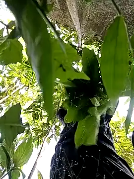 Snapshot of callistra chatting on October 2025 05:20:02 AM callistra online show from October 2025 05:20:02 AM