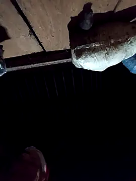 Snapshot of callistra chatting on December 2025 02:56:02 PM callistra online show from December 2025 02:56:02 PM