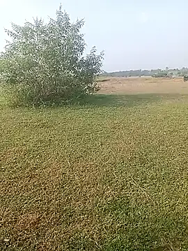 Snapshot of AgitatedStrip9 chatting on October 2025 02:17:01 AM AgitatedStrip9 online show from October 2025 02:17:01 AM