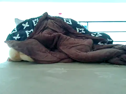 Snapshot of loveninja chatting on November 2025 06:13:01 AM loveninja online show from November 2025 06:13:01 AM