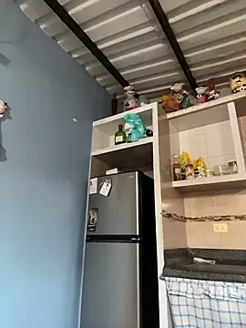 Snapshot of liahouses chatting on November 2025 10:07:02 PM liahouses online show from November 2025 10:07:02 PM