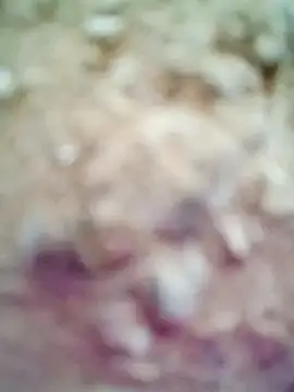 Snapshot of M-Kajal456 chatting on November 2025 03:49:02 AM M-Kajal456 online show from November 2025 03:49:02 AM