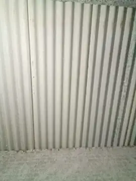 Snapshot of M-Kajal456 chatting on November 2025 10:09:01 PM M-Kajal456 online show from November 2025 10:09:01 PM