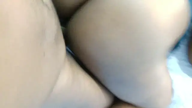 Dandelion enigman online show from January 2026 09:25:02 AM