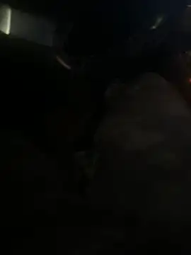 reubeu74 online show from December 2025 01:44:01 AM