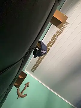 Snapshot of Ayla_wiens chatting on December 2025 02:33:01 PM Ayla wiens online show from December 2025 02:33:01 PM