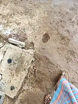 Snapshot of telugumodda4396 chatting on October 2025 05:55:02 AM telugumodda4396 online show from October 2025 05:55:02 AM