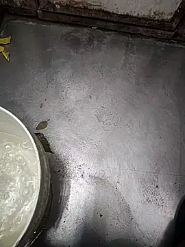 Snapshot of telugumodda4396 chatting on November 2025 01:50:01 AM telugumodda4396 online show from November 2025 01:50:01 AM