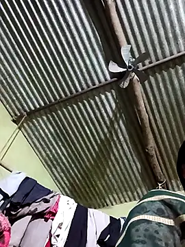 Haliya88 online show from February 2026 03:46:01 PM