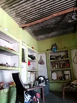 Haliya88 online show from April 2026 07:34:01 AM