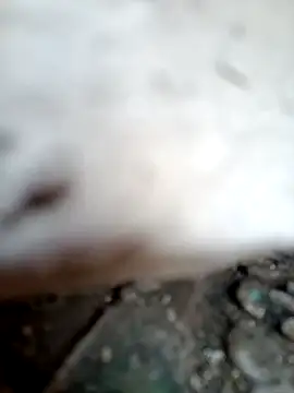 Snapshot of miss_riya_kol chatting on October 2025 06:44:02 AM miss riya kol online show from October 2025 06:44:02 AM