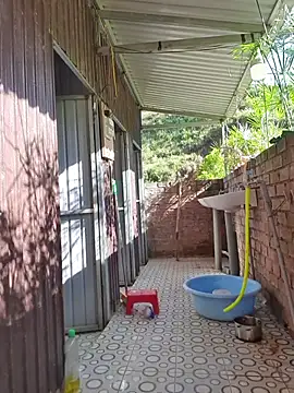 Helen-Tran online show from November 2025 01:17:01 AM