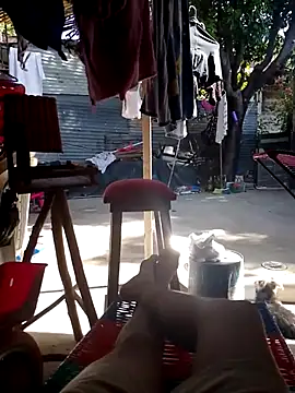 SALCEDO 041198 online show from September 2025 01:25:02 PM