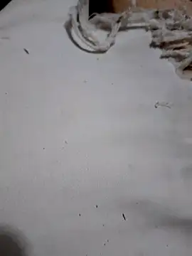 Snapshot of SALCEDO_041198 chatting on October 2025 10:52:02 PM SALCEDO 041198 online show from October 2025 10:52:02 PM